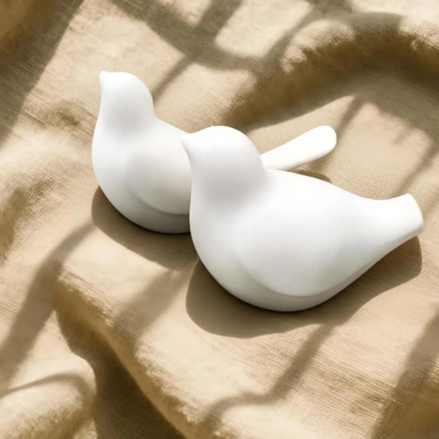 conjunto andorinha mensajeira do vento