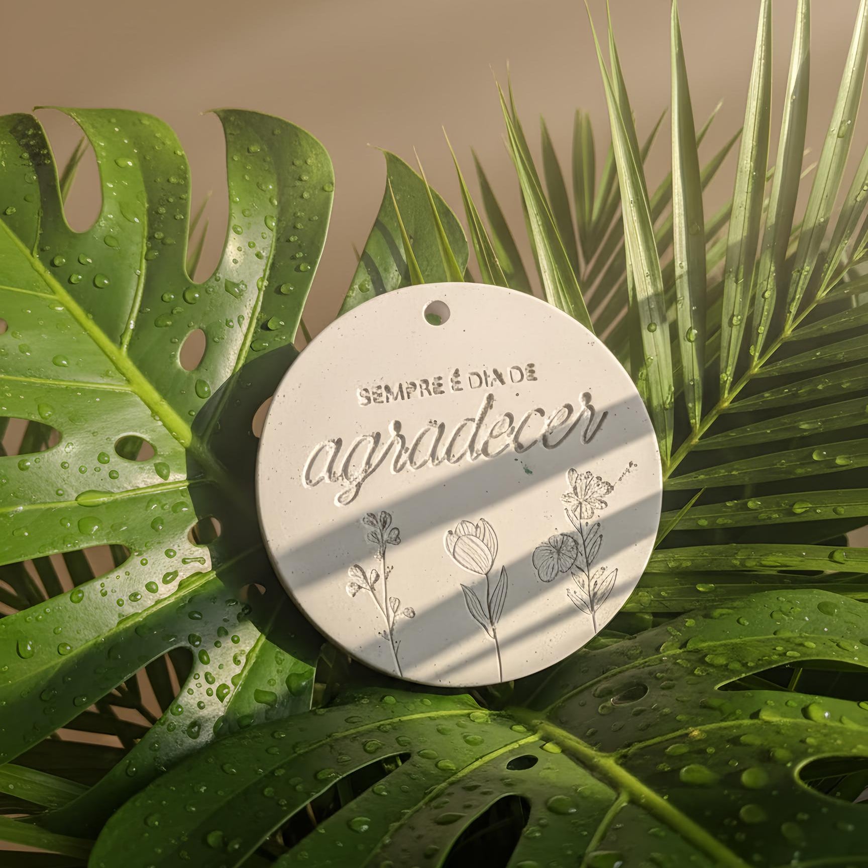 Gesso cultivar gratidão