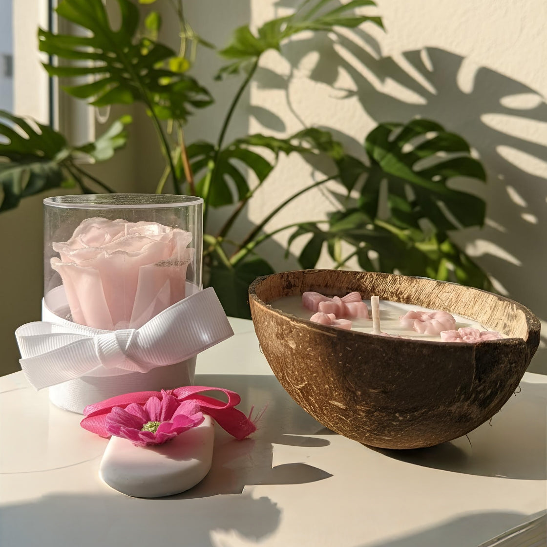 👩🏼‍🏫 Pack Luz que Ensina