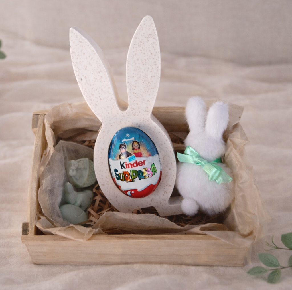 🐰 Coelhinho Surpresa – Conjunto Criança.