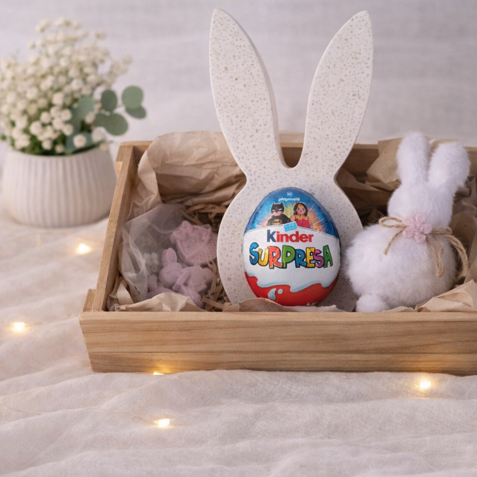 🐰 Coelhinho Surpresa – Conjunto Criança.